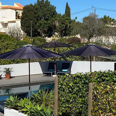 Casa Do Cerro Rental Карвоейру Экстерьер фото