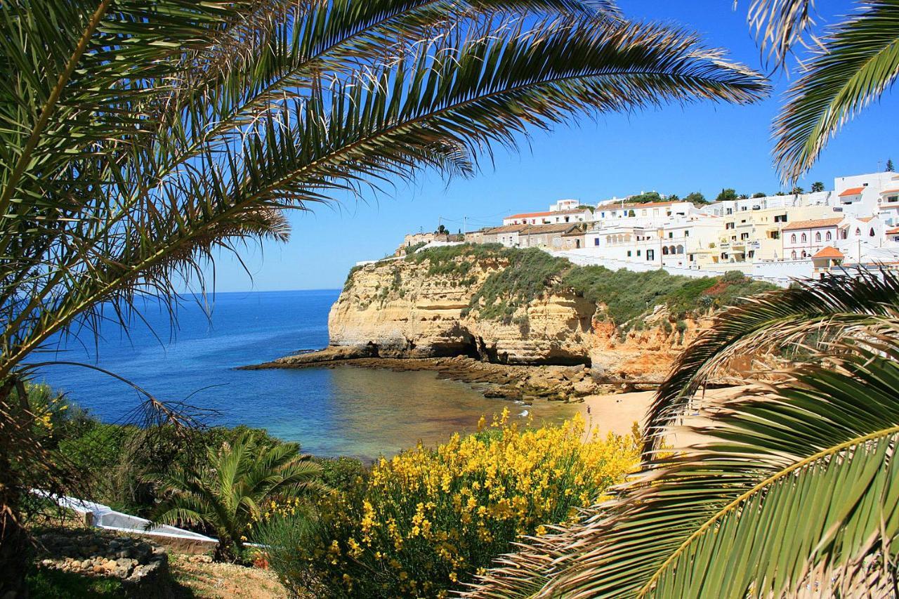 Casa Do Cerro Rental Карвоейру Экстерьер фото